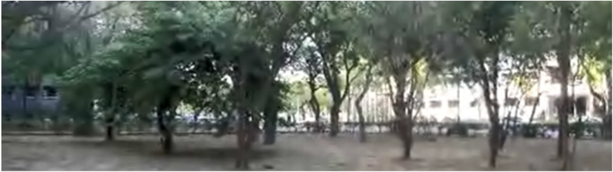 示意图0